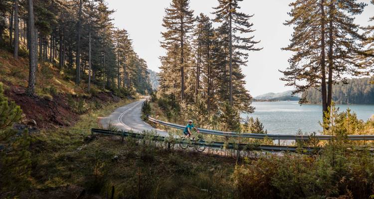 Cycliste roulant le long d'une route forestière tranquille à côté d'un lac, soleil filtrant à travers les pins.