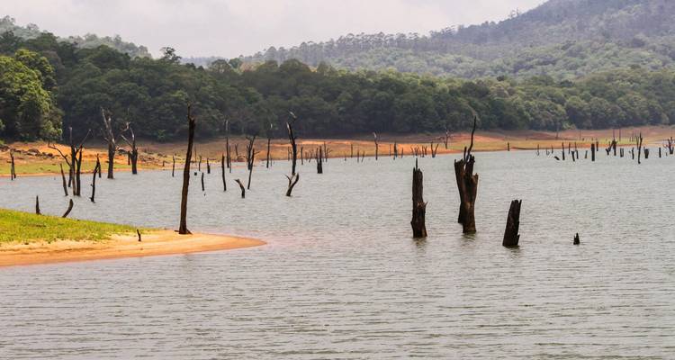 Kerala Tour Package from Delhi with Flight and Half-board Meals - Ramble Advisor 7