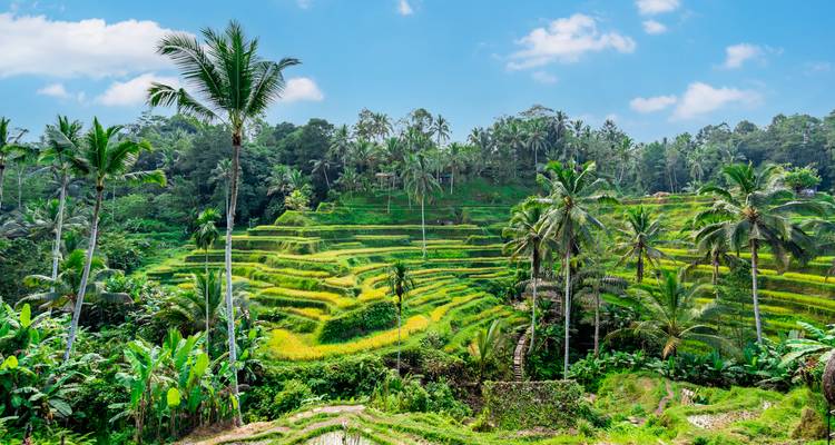 Bali & Singapore - Wingbuddy 8
