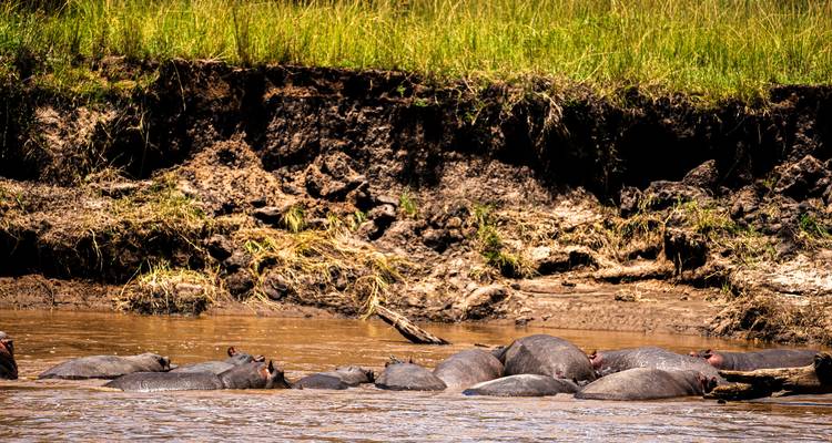 From Zanzibar: 2 Day Serengeti Expedition Safari - Beach and Safari Holidays 8