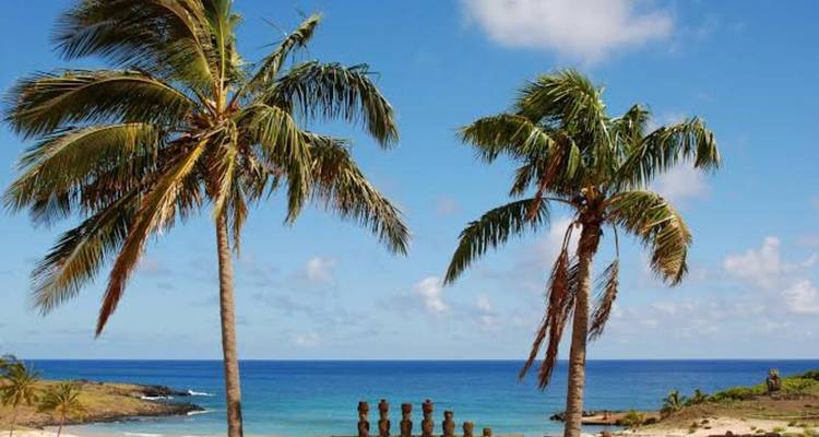 Dos palmeras enmarcan una fila de estatuas moái en una playa tropical con agua turquesa.