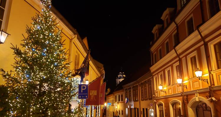 Vilnius, Lthuania Christmas Markets - Euroadventures 9