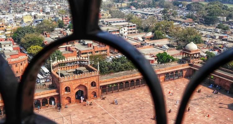 Circuito por la India: Tigres del Taj y Kerala - Ramble Advisor 7