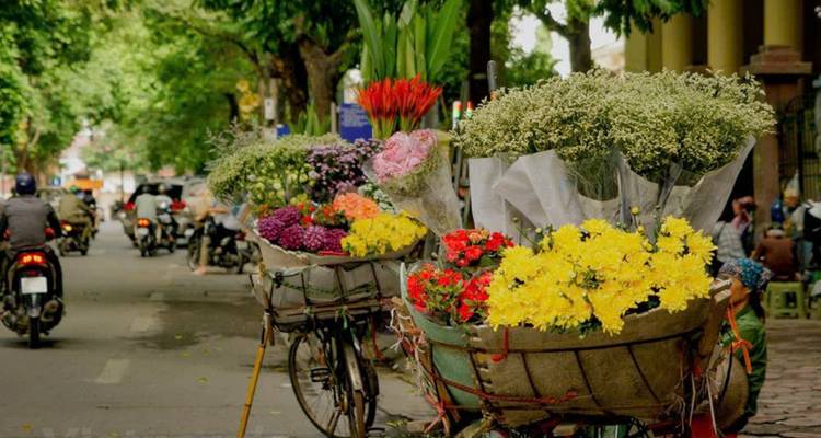 Odisea en Vietnam: 11 días de paisajes y cultura cautivadores - Open Asia Travel  2