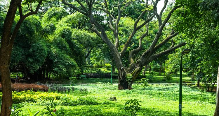 Circuit Mysore Goa - Ramble Advisor 7
