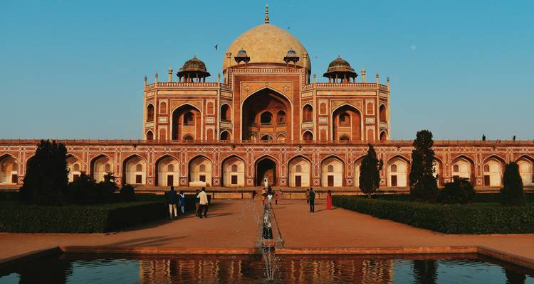 Unveiling the Hidden Treasures & Majestic Tigers of India - Ramble Advisor 4