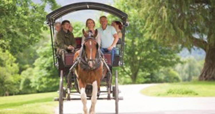 Focus sur l'Irlande - Premium (Classic) - Brendan Vacations 3
