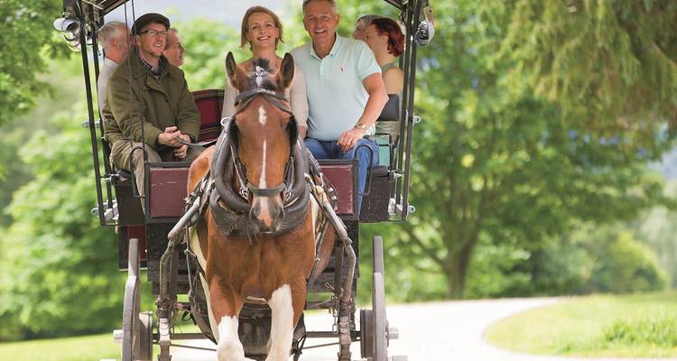 Paardenkar vervoert glimlachende bezoekers door weelderig parklandschap in Killarney.