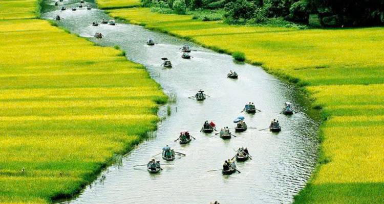 Small boats in a river between rice fields, people wearing traditional hats.