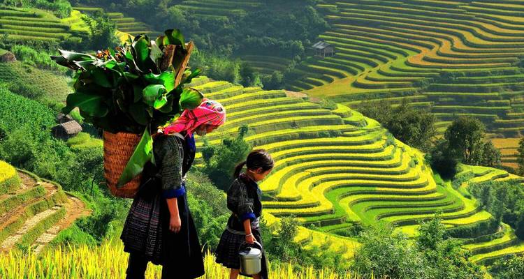 Woman and child in traditional dress walking through lush rice terrace landscape.