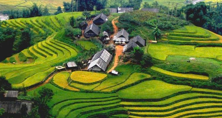 Rural landscape with green terraced fields and small houses.