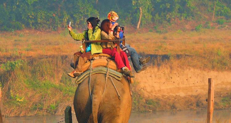 Touristen reiten auf einem Elefanten in natürlicher Umgebung.