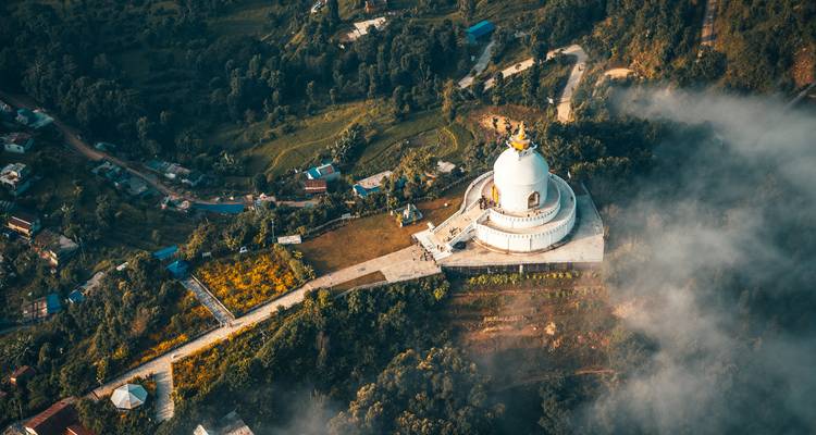 Aerial view of a pagoda with surrounding forest.