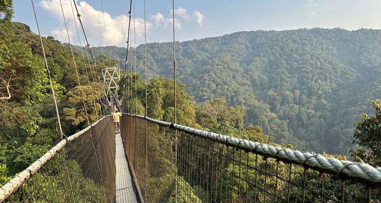 7 Day Rwanda Uganda Gorilla Tracking & Chimpanzee Trekking Trip - Safari 2 Gorilla Tours (U) Ltd 4
