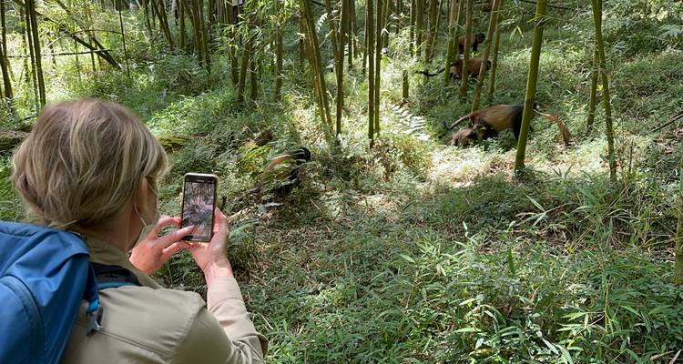 7 Day Rwanda Uganda Gorilla Tracking & Chimpanzee Trekking Trip - Safari 2 Gorilla Tours (U) Ltd 8