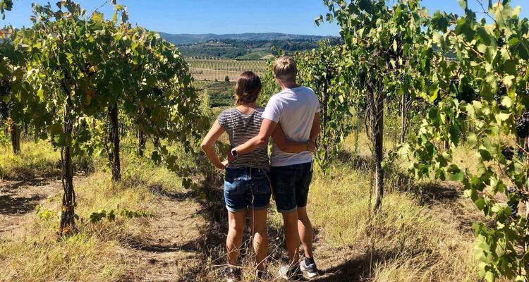 A couple in a vineyard embracing, looking at the scenic view.