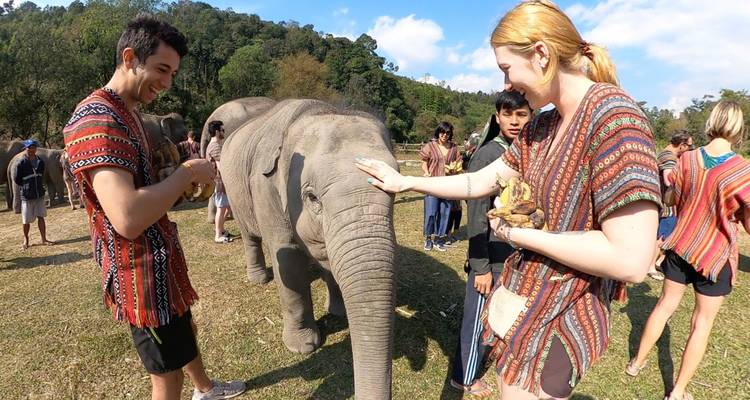Enchanting Thailand: A 13-Day Journey Through Culture, History, and Paradise - Open Asia Travel  9