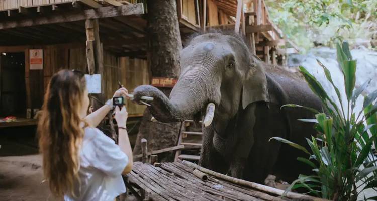 Thailand Classic in 12 Days: Discover Bangkok, Chiang Mai & Phuket - Open Asia Travel  6