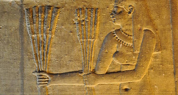 5 Day Nile Cruise (Luxor, Esna, Edfu, Kom Ombo and Aswan) - STM Tours LLC 7