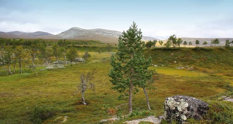 Option de voyage Fjell de rêve et Norvège des fjords - DERTOUR 1