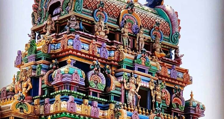 Le meilleur de l'Inde du Sud avec le Kerala 19 nuits / 20 jours - Go My Journey 4