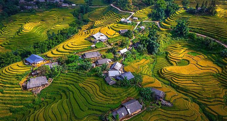 12-Day Vietnam Discovery: From Sapa's Majestic Mountains to Halong Bay, Hoi An, and the Mekong Delta - Open Asia Travel  6