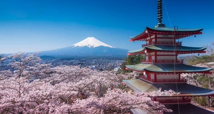 6 Days Mt. Fuji & Traditional Japan （Private Guide and Driver）- Umetravel - UME Travel Co. Ltd 1