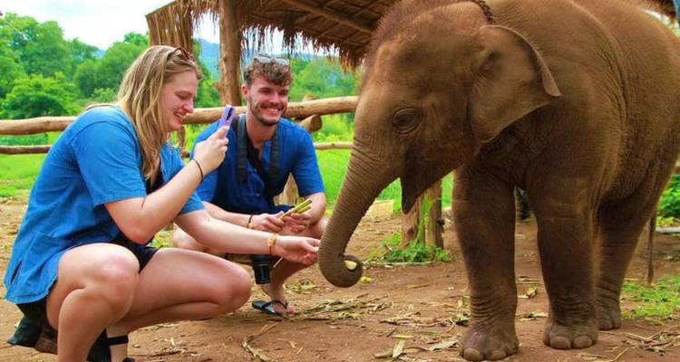 People interacting with a baby elephant in a natural setting.