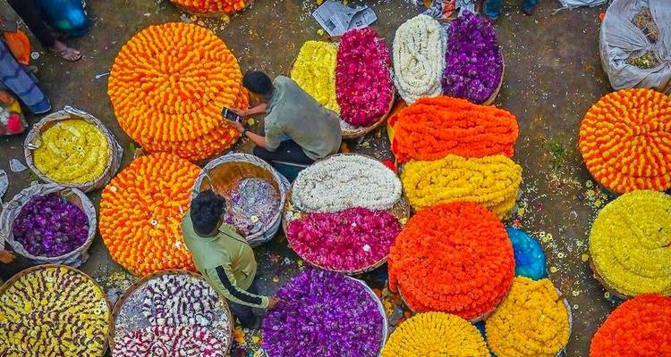 Kolkata l'enchanteresse : un voyage de 4 jours à travers l'histoire, la culture et le charme - Creative India Journey 4