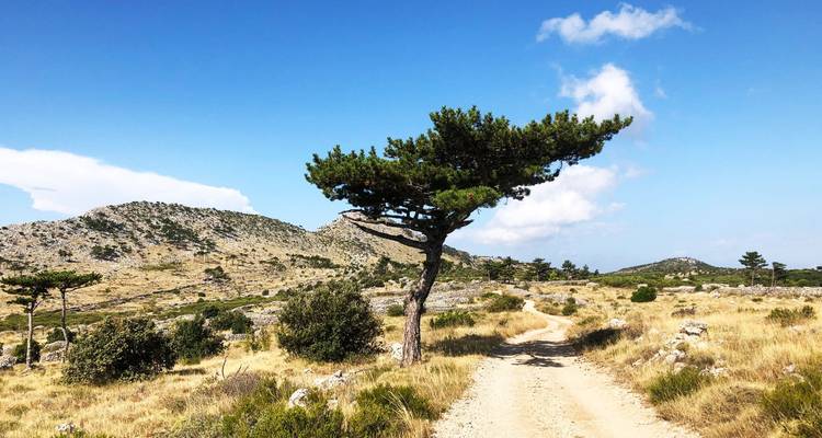 Vacaciones a pie en las Islas Croatas | De Split a Dubrovnik - LIFE Adventures 2