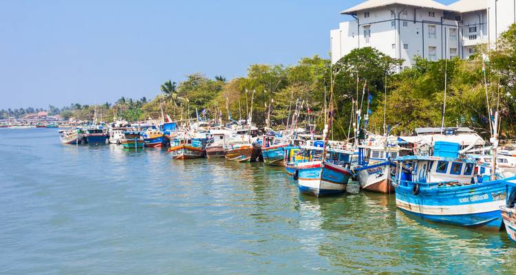 Namaste Sri Lanka - Retraite de bien-être - Panoramic Tour & Travels 3