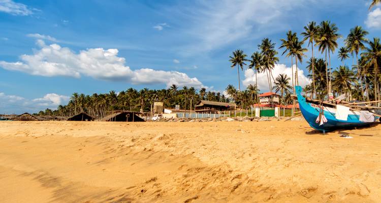Namaste Sri Lanka - Retraite de bien-être - Panoramic Tour & Travels 6