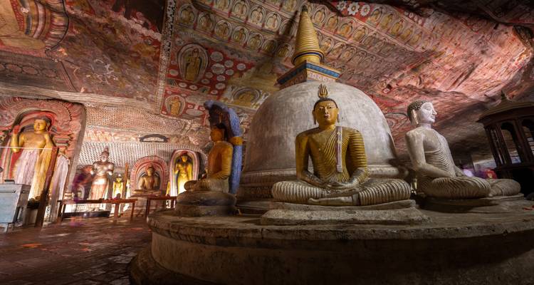 Namaste Sri Lanka - Retraite de bien-être - Panoramic Tour & Travels 8
