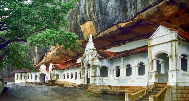 Namaste Sri Lanka - Retraite de bien-être - Panoramic Tour & Travels 9