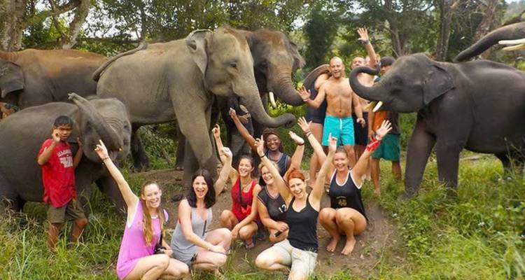 Una Odisea Cultural por Tailandia: 10 Días de Patrimonio, Vida Salvaje y Playas - Phitsanuloke / Chiang Mai / Phuket - Open Asia Travel  2