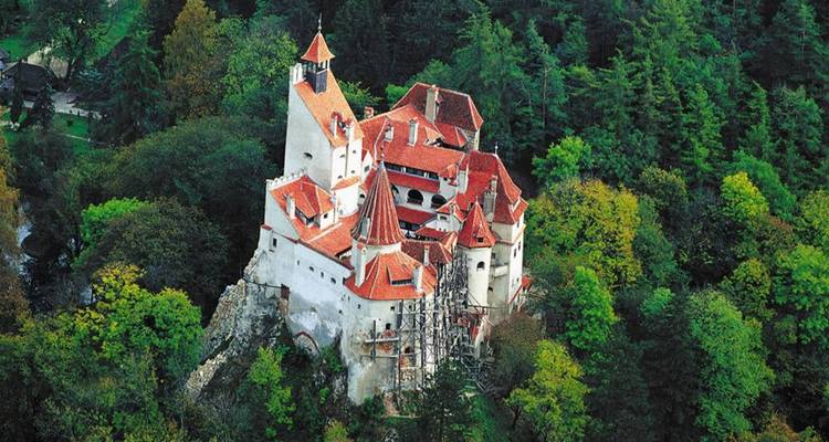 Une vue aérienne du château de Bran entouré de forêts vertes.