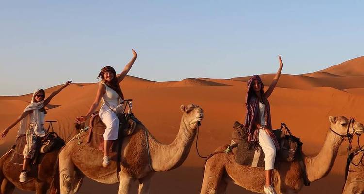 Mensen die op kamelen door de woestijn rijden.