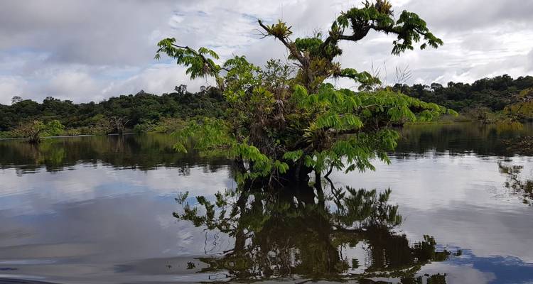 6 Days Killa De Remo: Amazing Paddle Adventure - Responsible Travel South America 1