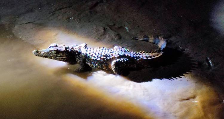 6 Days Killa De Remo: Amazing Paddle Adventure - Responsible Travel South America 3
