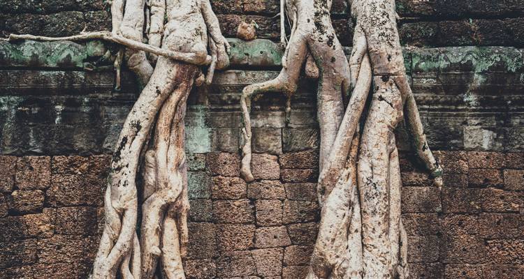 Ultimate Angkor Wat, private AC car tour - Payless tours india 8