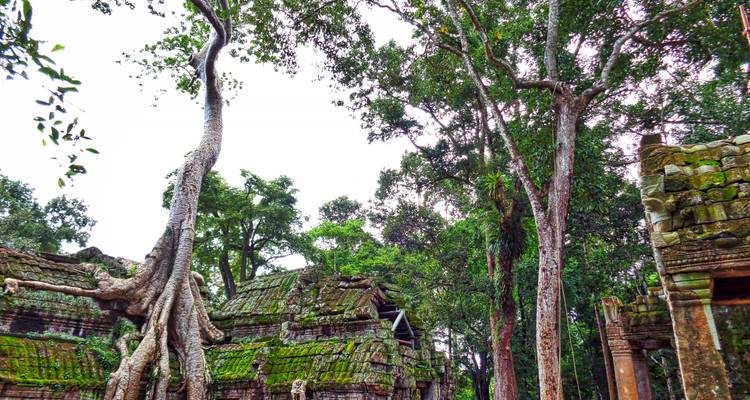 Ultimate Angkor Wat, private AC car tour - Payless tours india 9