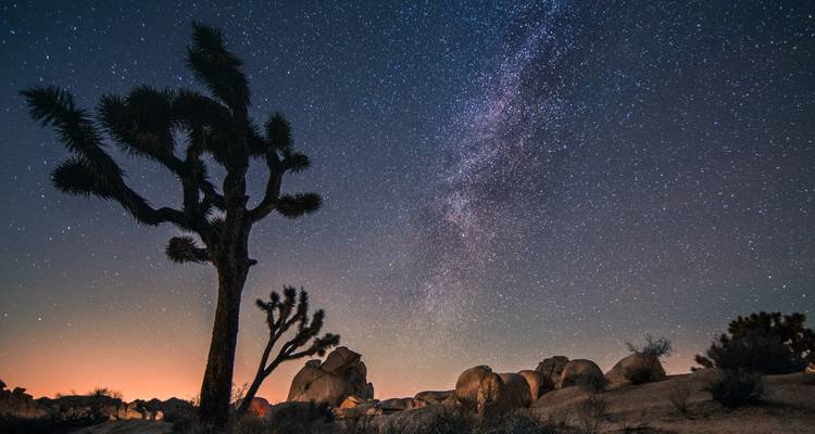 EE.UU. en la Tienda de Azotea: Del Salvaje Oeste a California Soñando - journaway 9