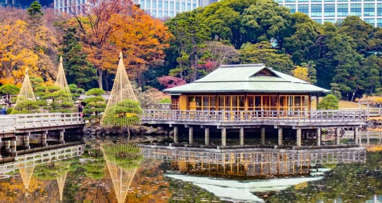 6 Días Japón Clásico （Circuito Familiar Privado）- Umetravel - UME Travel Co. Ltd 6
