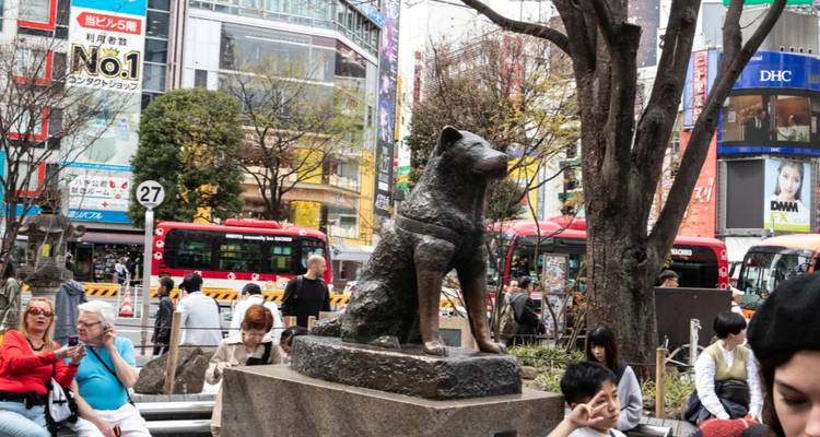 6 jours Culture Honshu au Japon （Privé avec guide et chauffeur）- Umetravel - UME Travel Co. Ltd 3