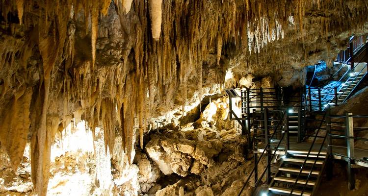 Le meilleur de Perth, Margaret River et Rottnest Island (6 destinations) - Intrepid Travel 3