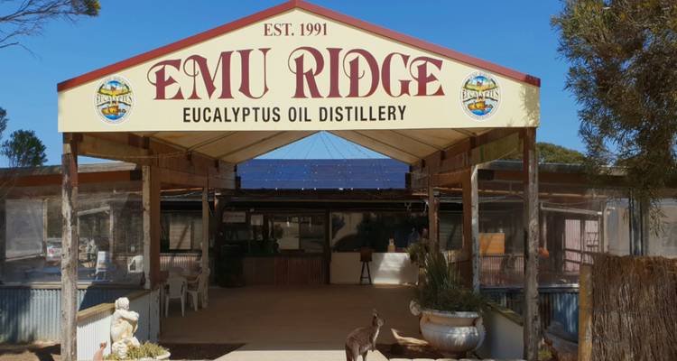 Kangaroo Island Escape: A Journey into Nature's Wonderland in 3 days - Receptivo Aborigen Tours 6