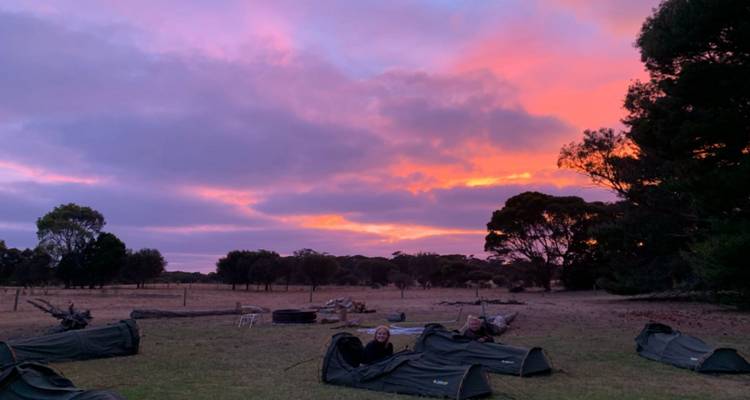 Kangaroo Island Escape: A Journey into Nature's Wonderland in 3 days - Receptivo Aborigen Tours 8
