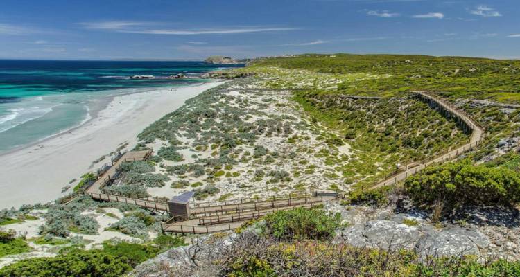 Kangaroo Island Escape: A Journey into Nature's Wonderland in 3 days - Receptivo Aborigen Tours 9