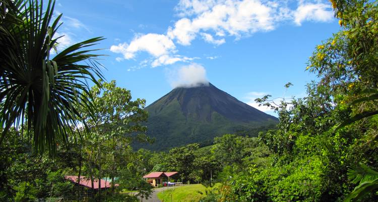 Costa Rica: Un Mundo de Naturaleza con el Parque Nacional de Tortuguero, el Volcán Arenal y el Parque Nacional de Manuel Antonio (2026) - Collette 2