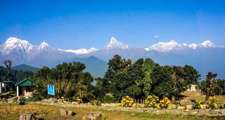 Pokhara : Randonnée guidée d'une journée de Dampus à Australian Camp (nuitée) - Himalayan Trekking & Tours 4